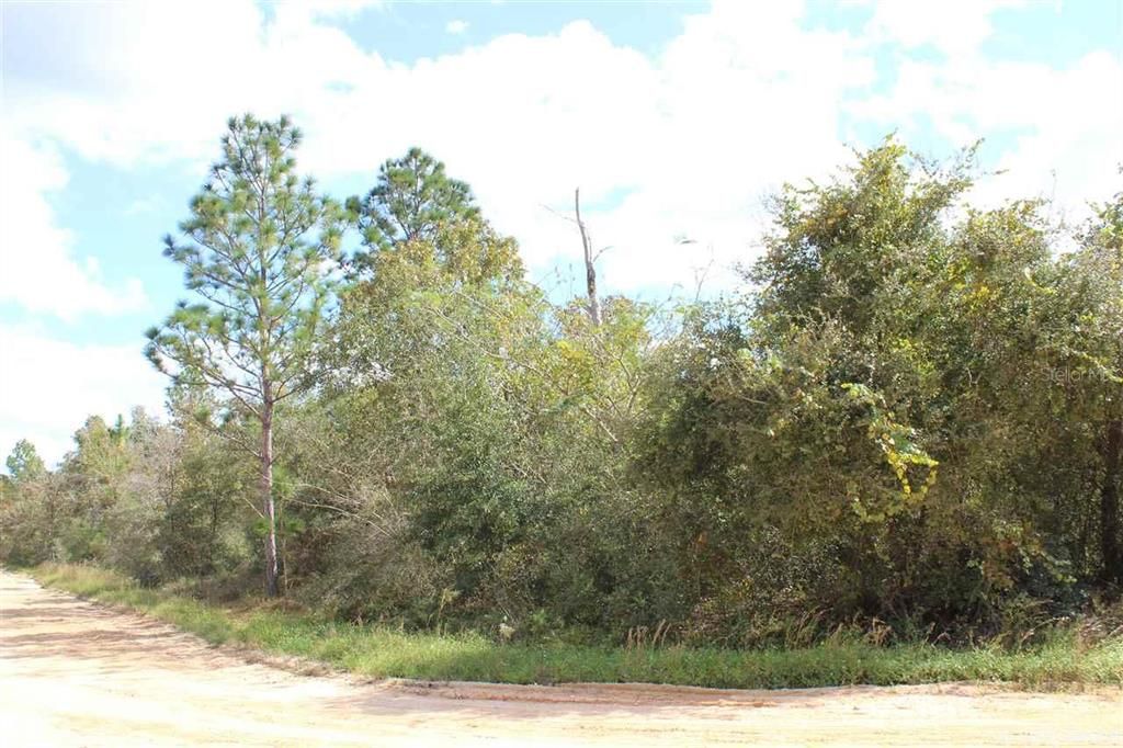 Vendido Recientemente: $10,000 (1.25 acres)