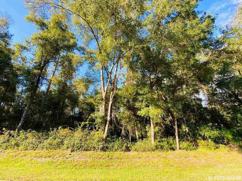 最近售出: $13,900 (1.00 acres)