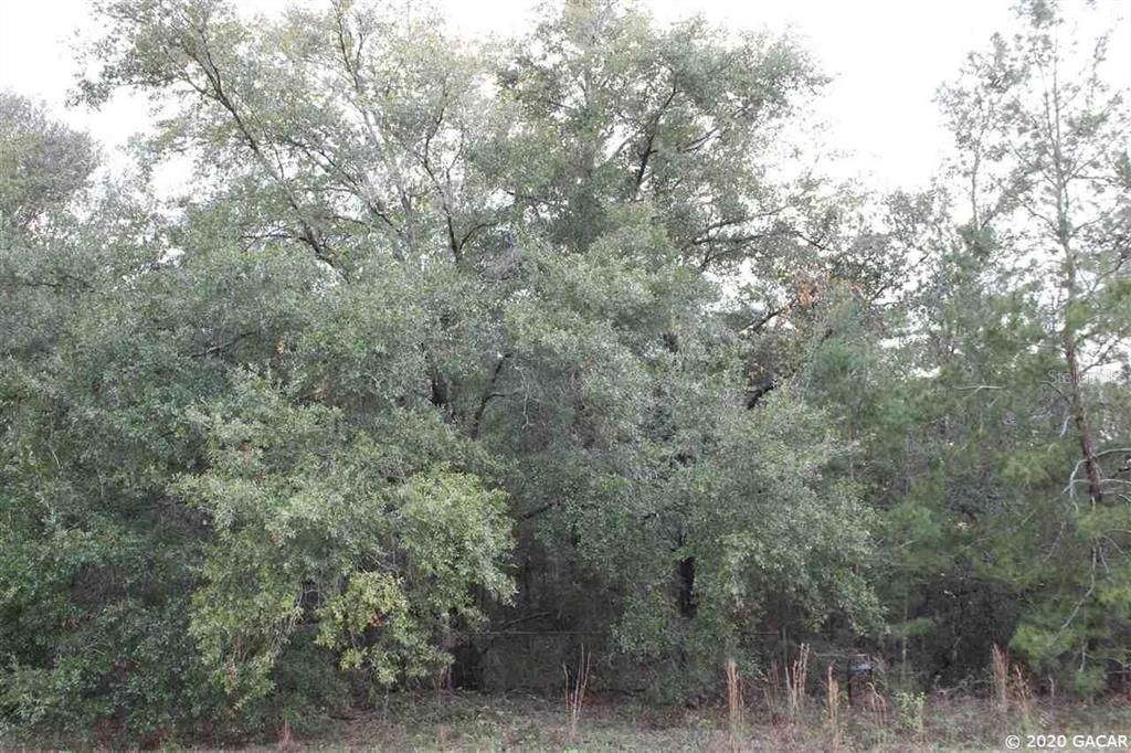 Recently Sold: $10,000 (1.00 acres)