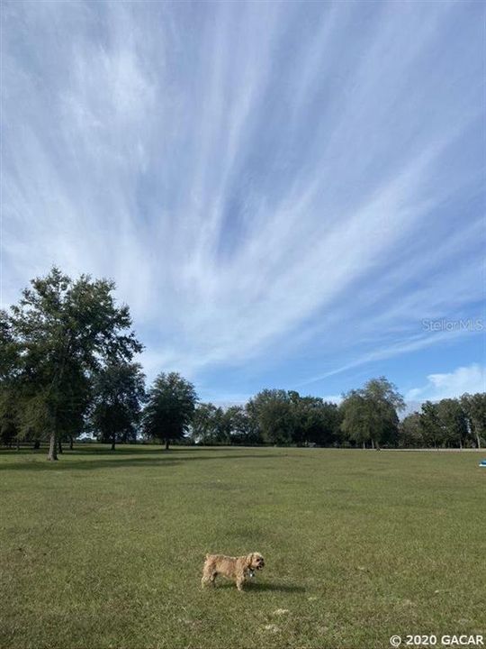 Vendido Recientemente: $110,000 (5.00 acres)