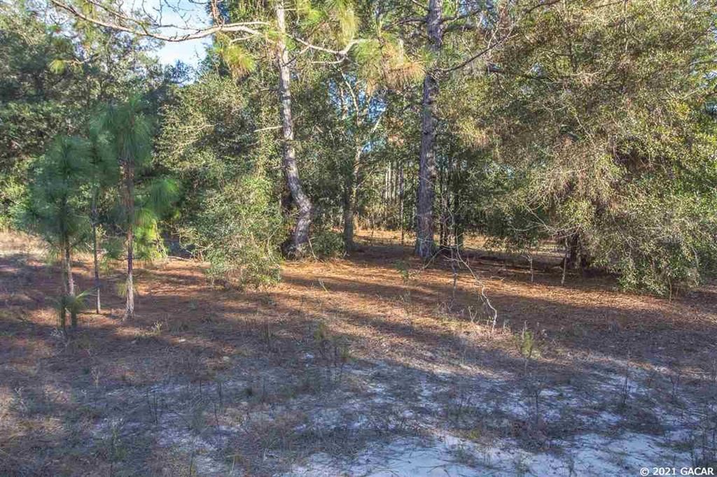 Recently Sold: $13,900 (1.00 acres)