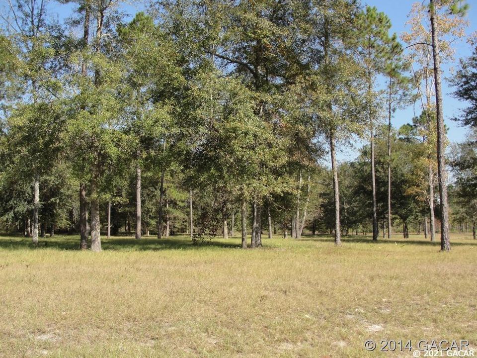 Recently Sold: $45,500 (1.50 acres)