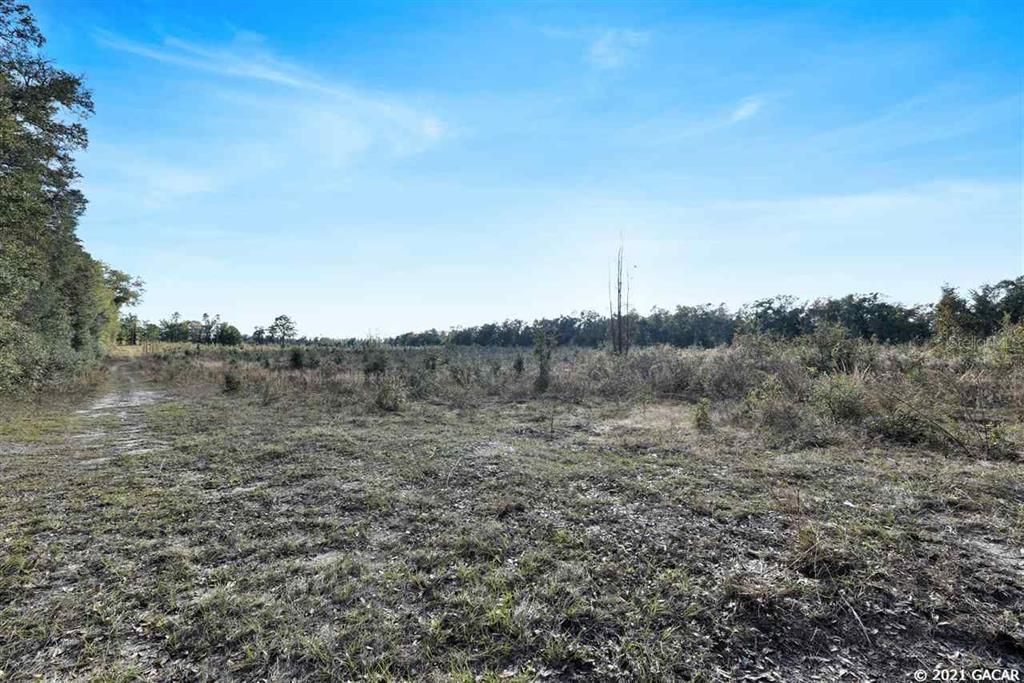 Recently Sold: $145,707 (24.00 acres)