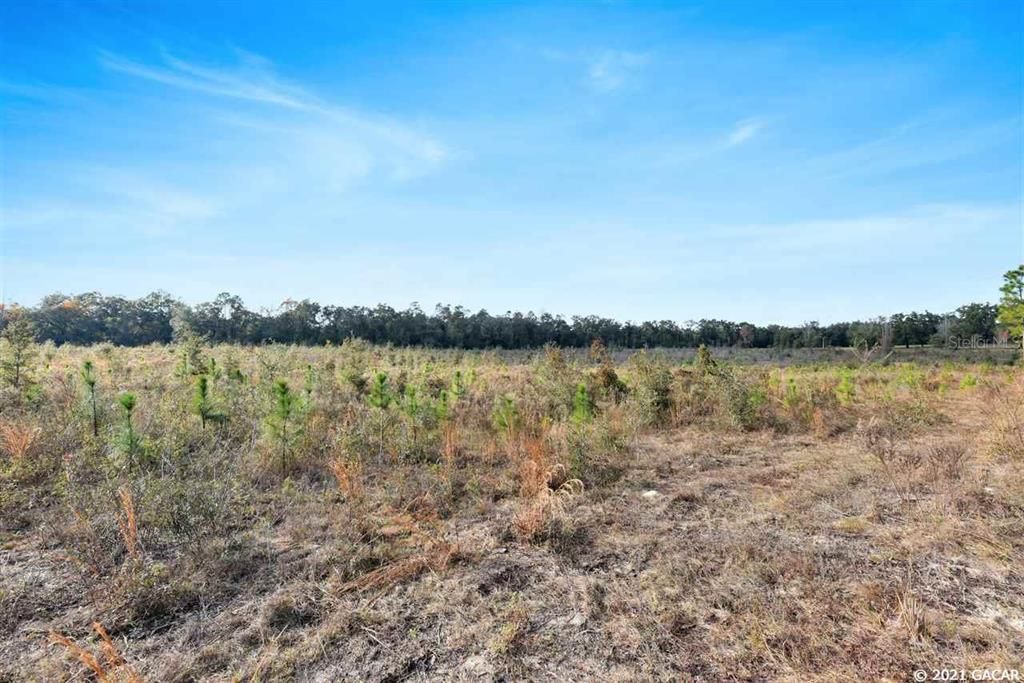 Recently Sold: $145,707 (24.00 acres)