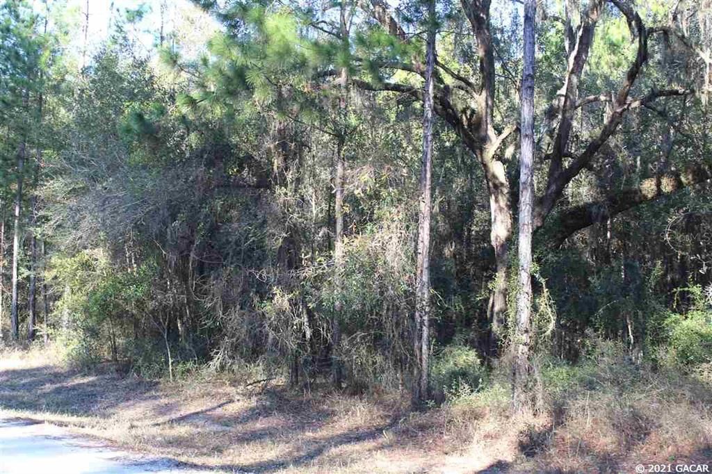 Recently Sold: $95,000 (20.00 acres)