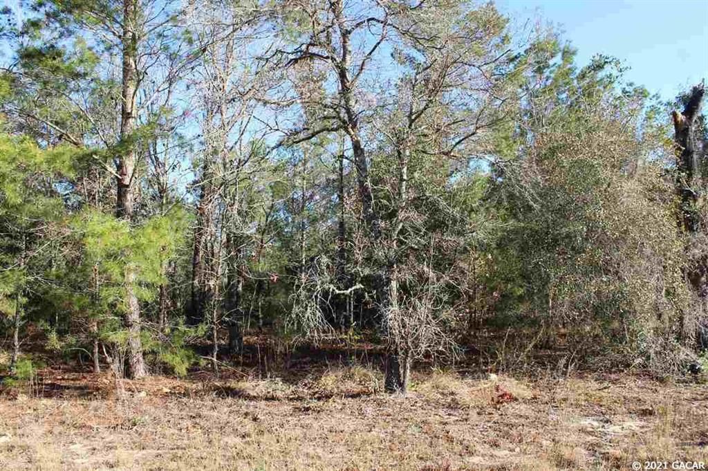 Recently Sold: $15,000 (1.03 acres)