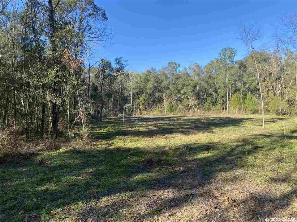Recently Sold: $69,500 (1.59 acres)