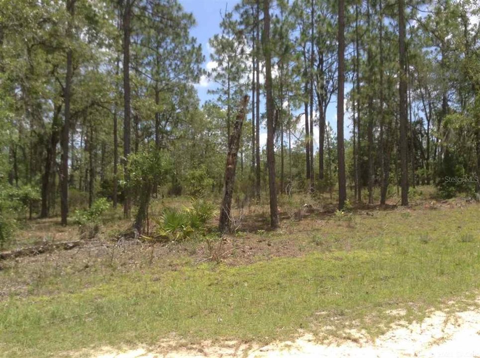 Recently Sold: $38,721 (4.79 acres)