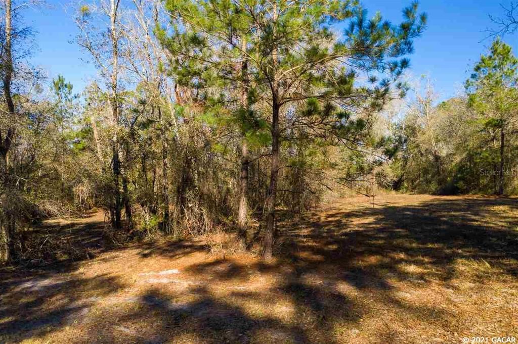 Recently Sold: $49,900 (1.27 acres)