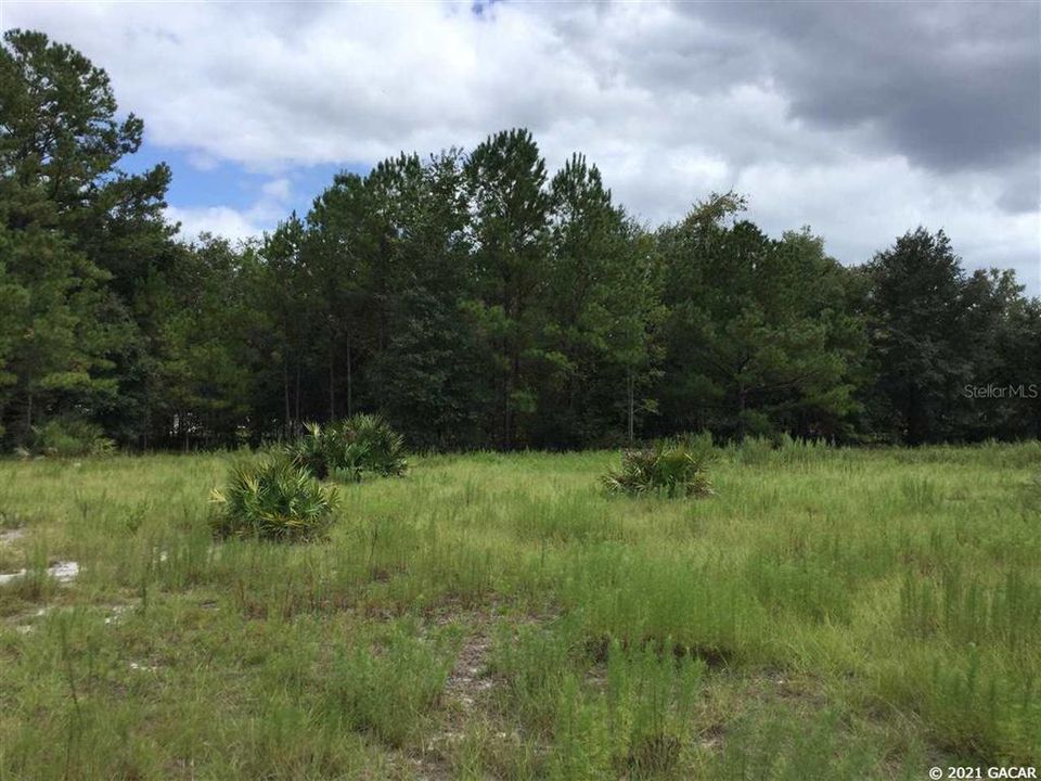 Recently Sold: $75,000 (8.06 acres)