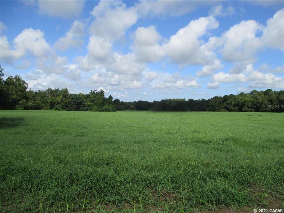 Recently Sold: $105,000 (8.02 acres)