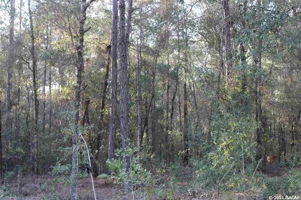 Recently Sold: $25,000 (4.97 acres)