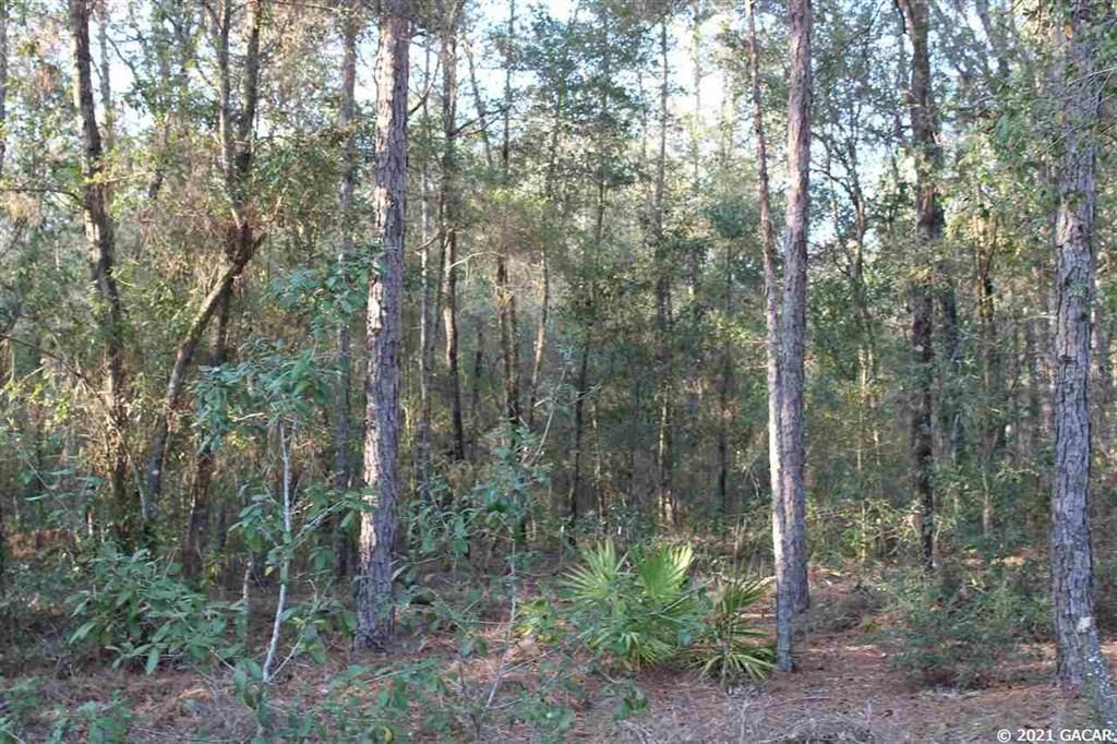 Recently Sold: $25,000 (4.97 acres)