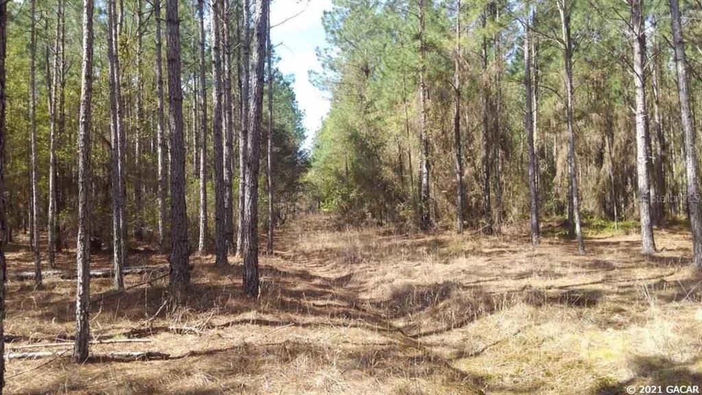 Recently Sold: $239,900 (42.80 acres)