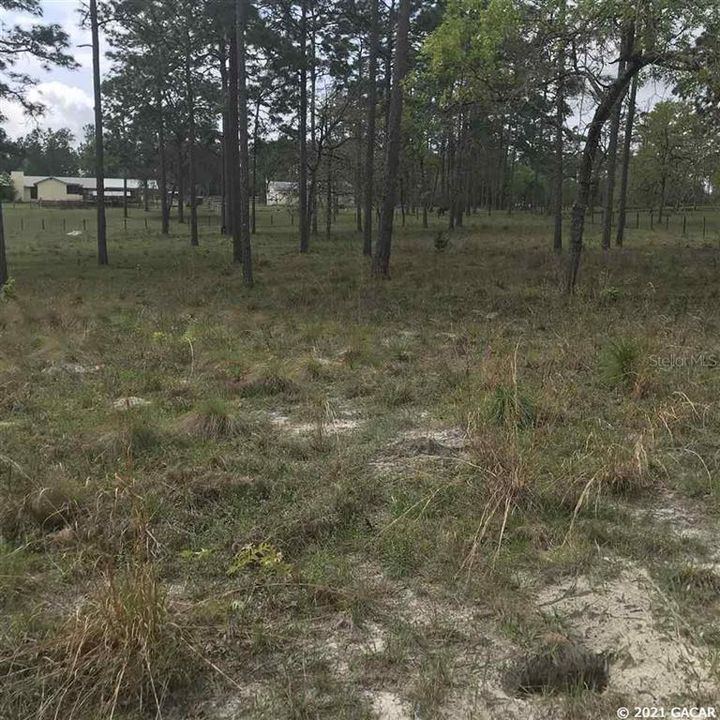 Recently Sold: $21,500 (2.08 acres)