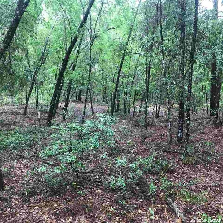 Vendido Recientemente: $14,500 (0.62 acres)