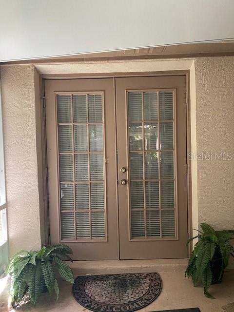 Porch french doors