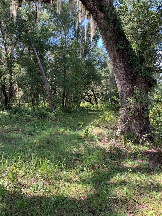 Recently Sold: $199,000 (10.60 acres)