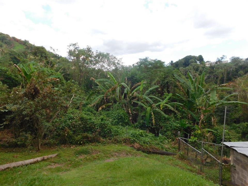 最近售出: $80,000 (6.25 acres)