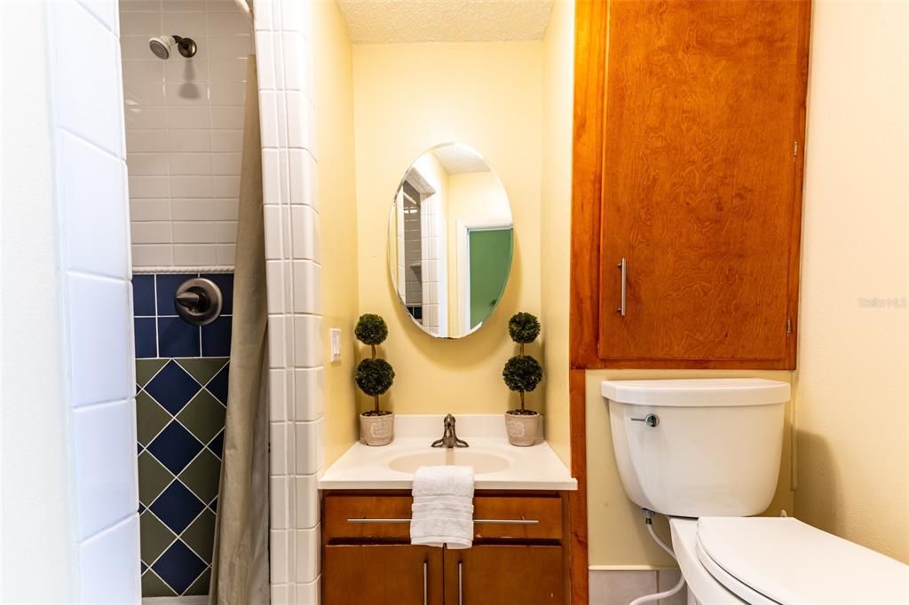 Attached Apartment Bathroom