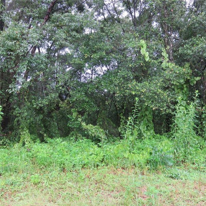 Recently Sold: $49,000 (0.43 acres)