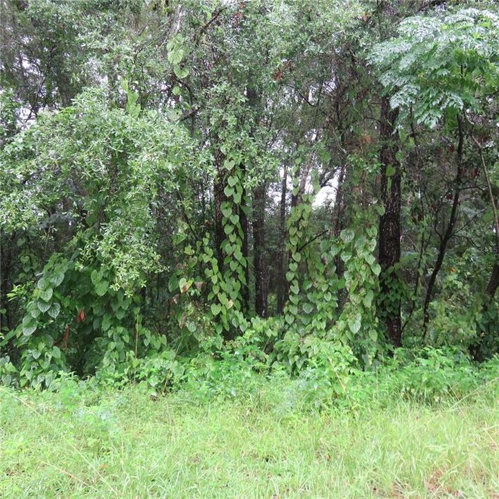 Recently Sold: $49,000 (0.43 acres)