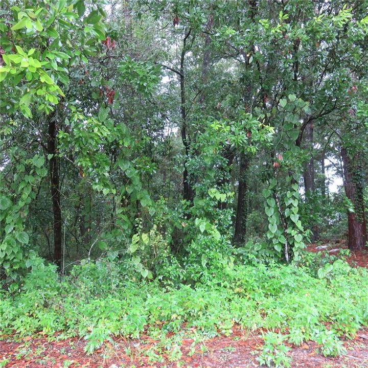 Recently Sold: $49,000 (0.43 acres)