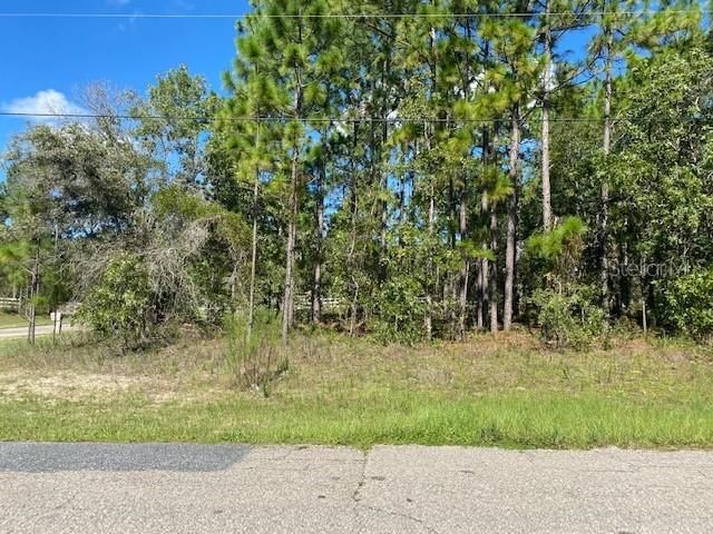 Недавно продано: $18,000 (0.28 acres)