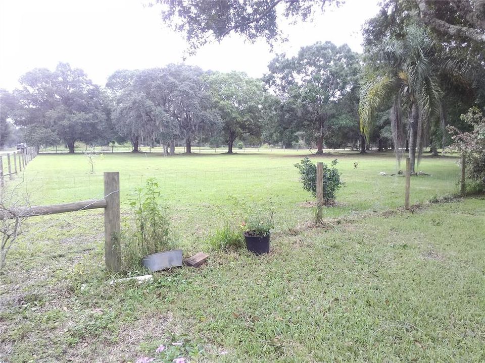 front pasture
