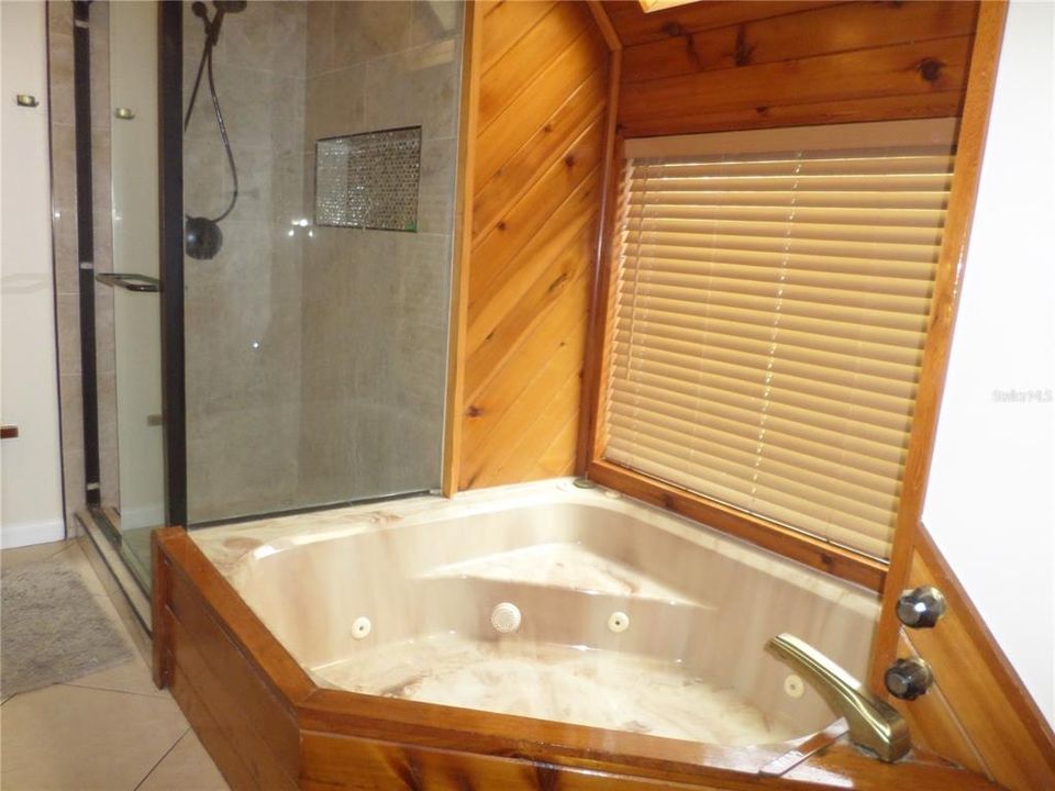 JACCUZZI TUB AND SEPARATE SHOWER
