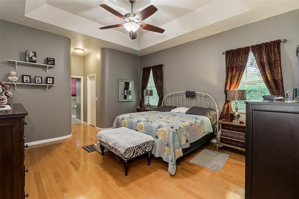 Master Bedroom with Tray Ceilings