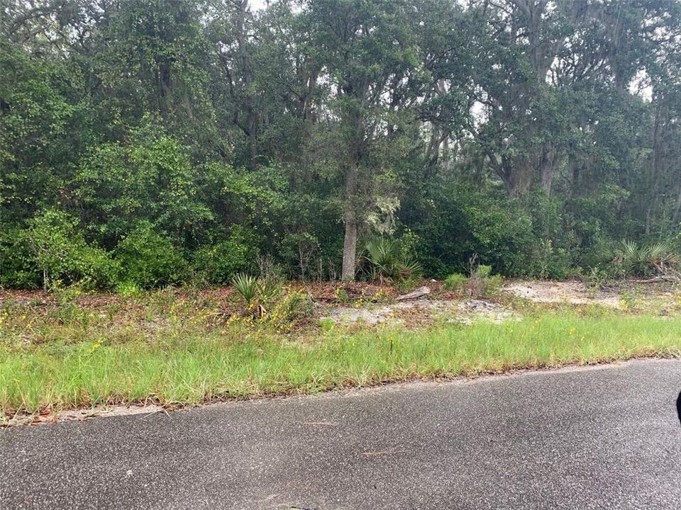 Recently Sold: $20,000 (0.23 acres)