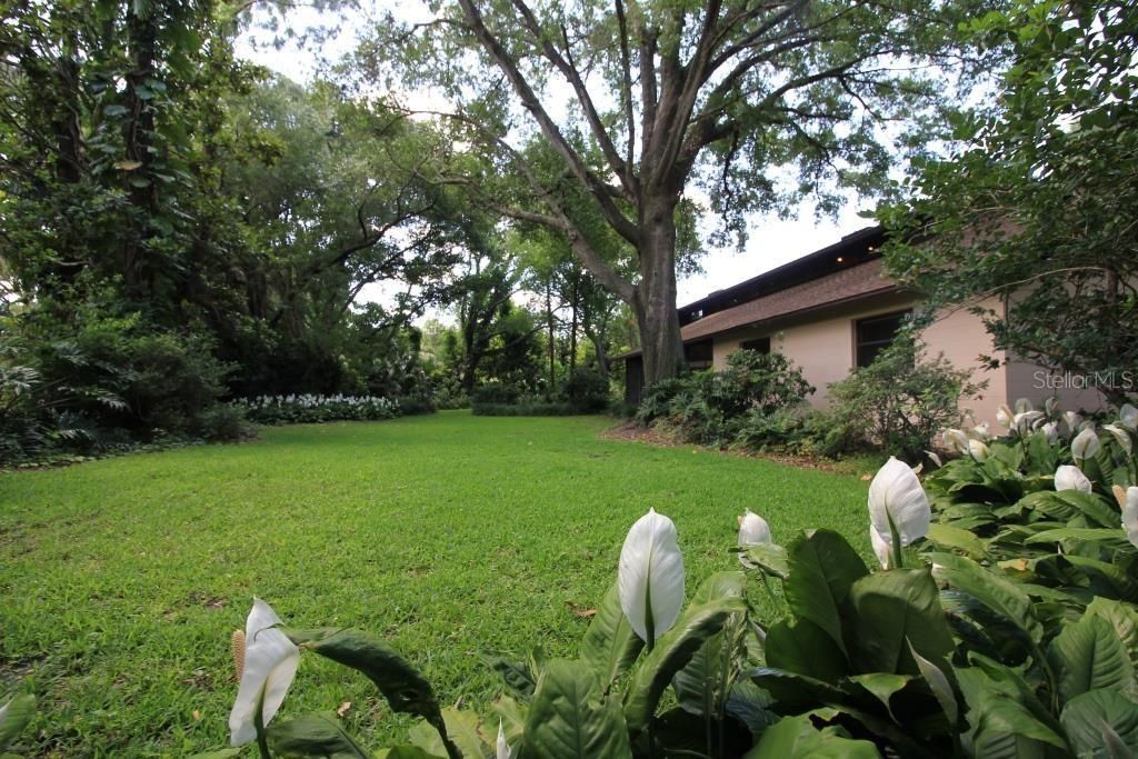 Spacious Backyard