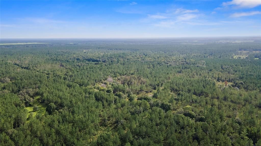 Недавно продано: $171,815 (49.09 acres)