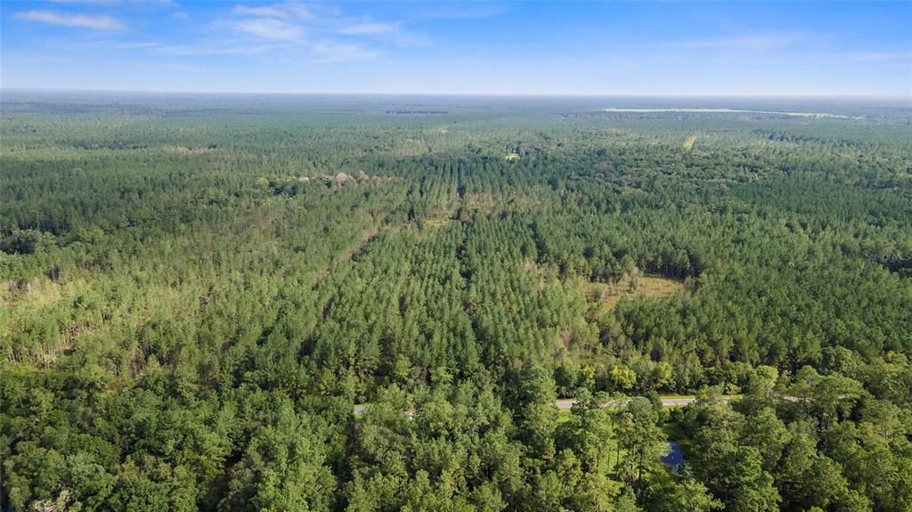 Недавно продано: $171,815 (49.09 acres)