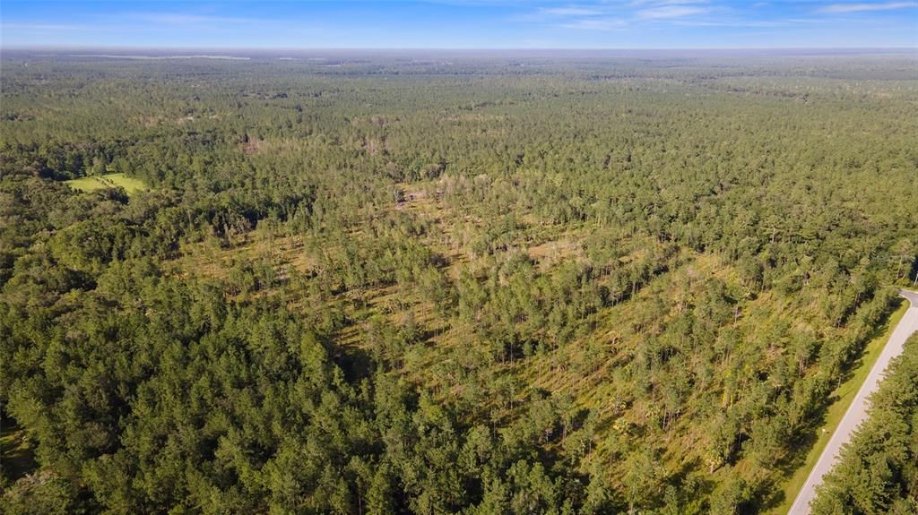 Недавно продано: $171,815 (49.09 acres)