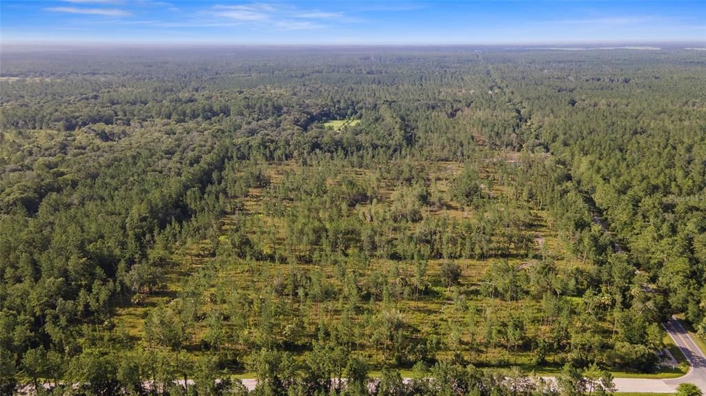 Недавно продано: $171,815 (49.09 acres)