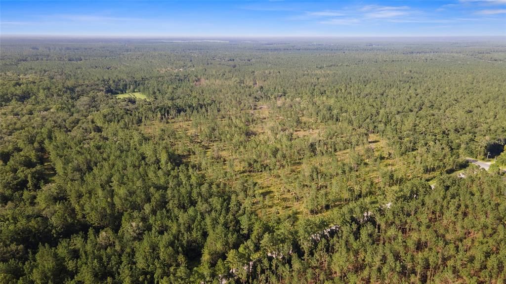 Недавно продано: $171,815 (49.09 acres)