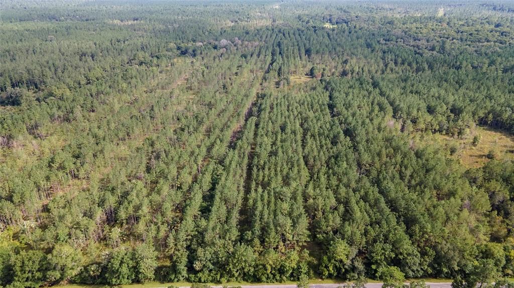 Недавно продано: $171,815 (49.09 acres)