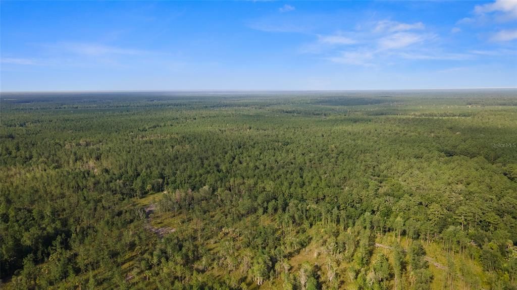 Недавно продано: $171,815 (49.09 acres)