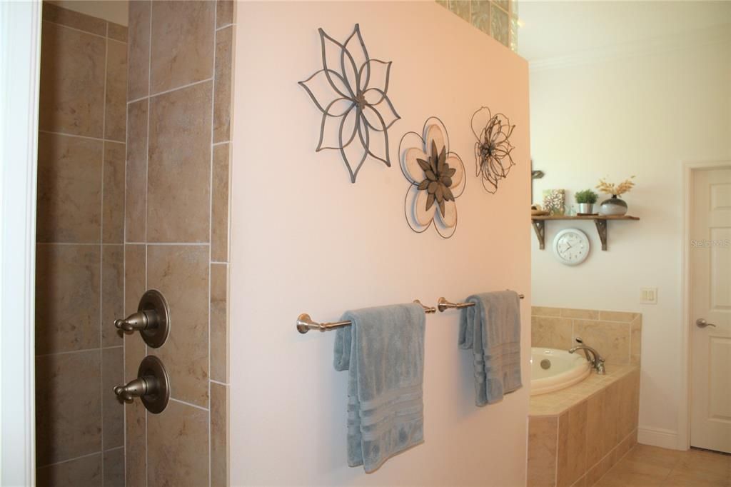 Master Bath with Walk-In Shower