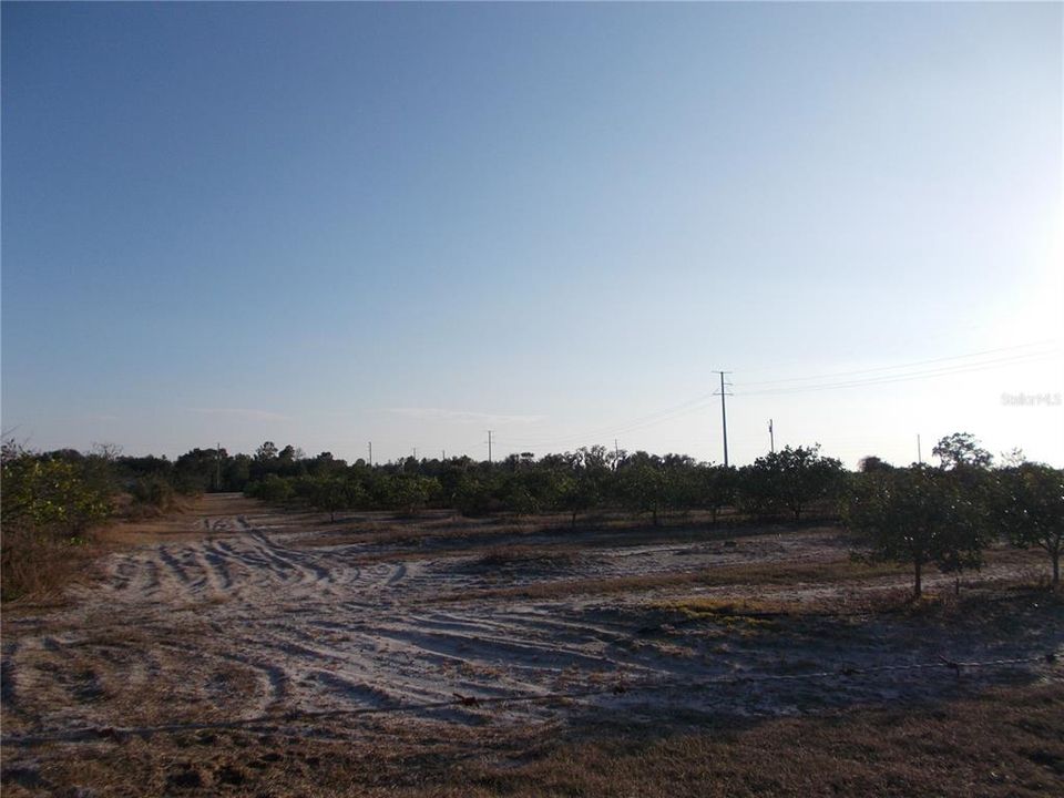 Vendido Recientemente: $63,500 (6.77 acres)