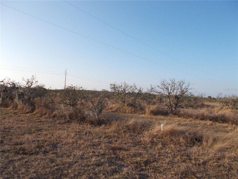 Vendido Recientemente: $63,500 (6.77 acres)