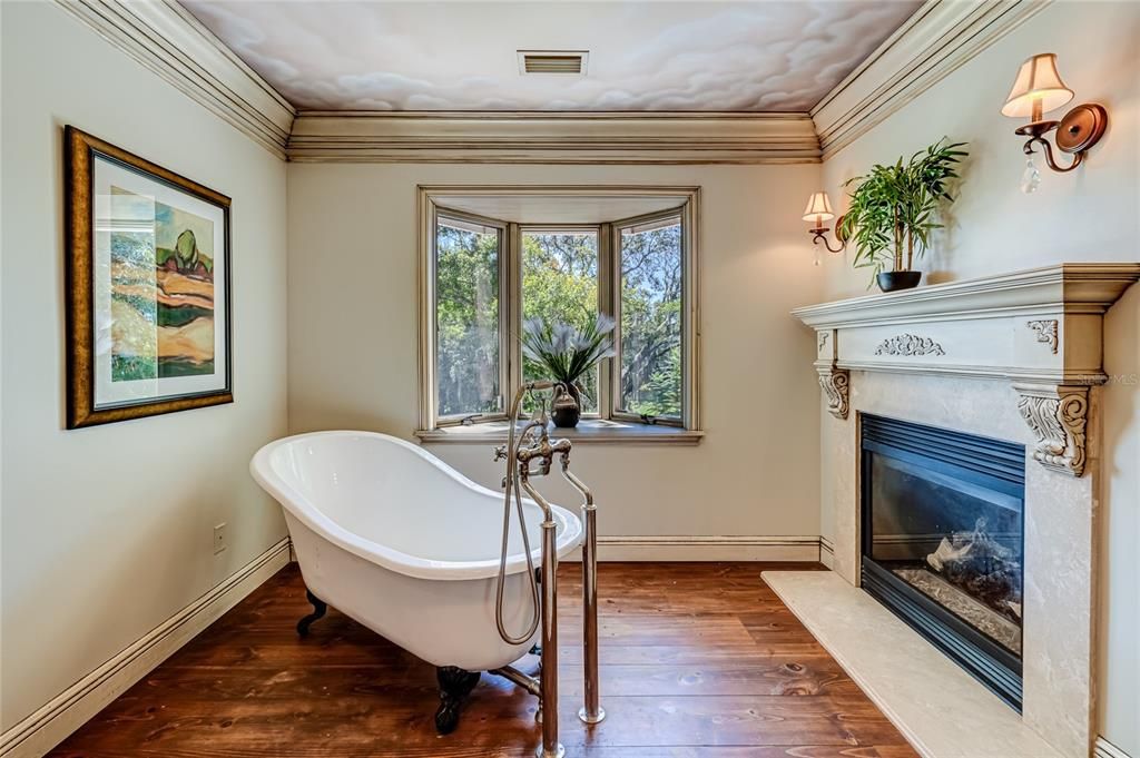 Claw foot tub and electric fireplace