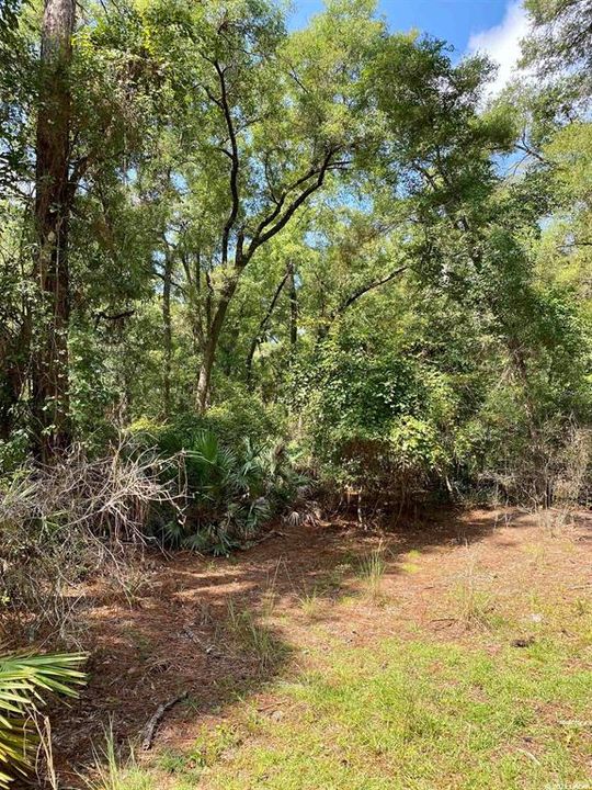 Recently Sold: $55,000 (4.77 acres)