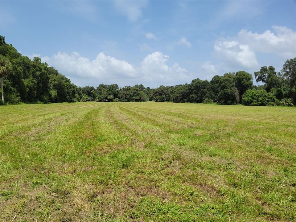 Recently Sold: $124,900 (10.00 acres)