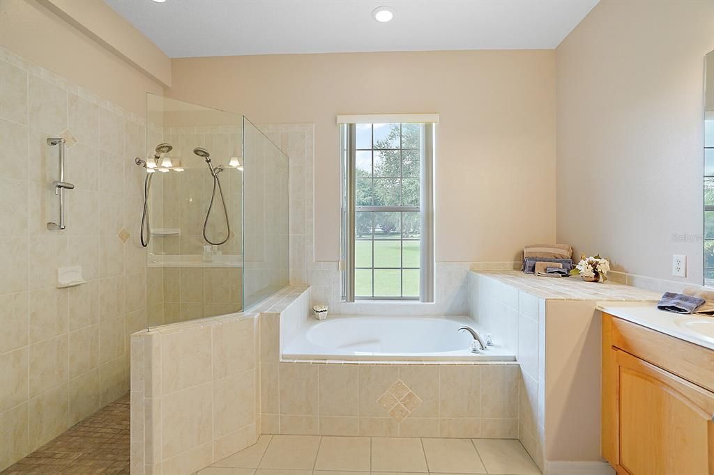 Walk-In Shower and Soaking Tub