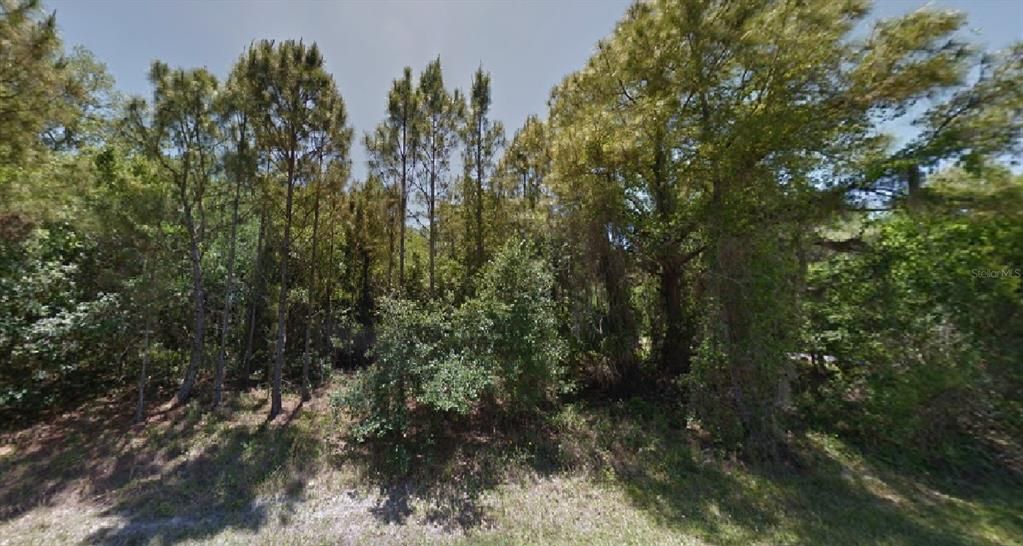 Недавно продано: $18,000 (0.30 acres)