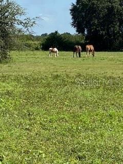 Недавно продано: $169,000 (10.00 acres)