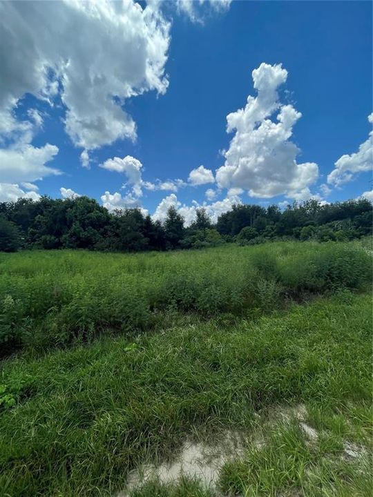 Recently Sold: $39,900 (0.46 acres)